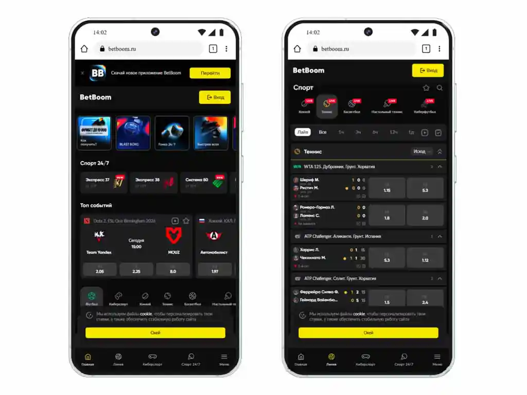 betboom